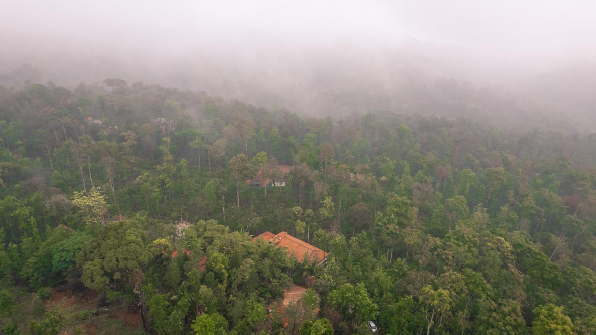 Kingmaker'S Plantation With River Stream Madikeri Ngoại thất bức ảnh