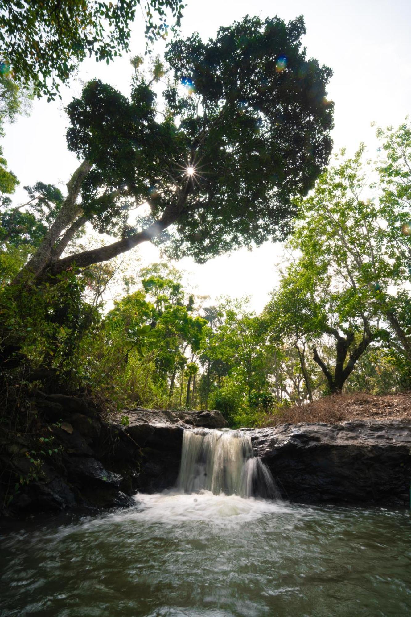 Kingmaker'S Plantation With River Stream Madikeri Ngoại thất bức ảnh