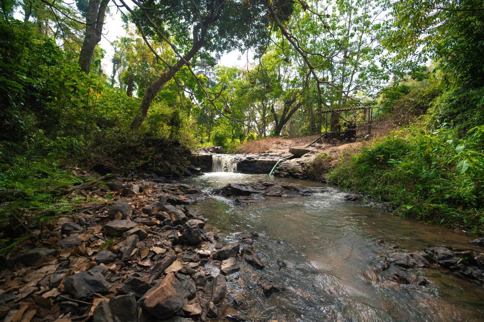 Kingmaker'S Plantation With River Stream Villa Madikeri Ngoại thất bức ảnh